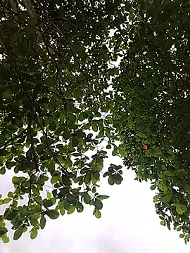 Anastasia21's Live XXX Chat