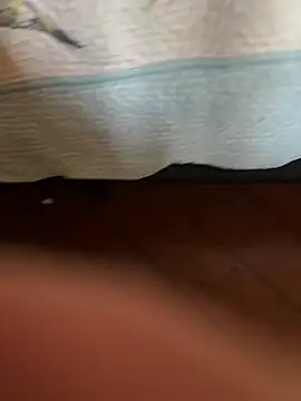 jeysen Webbikameraesitys