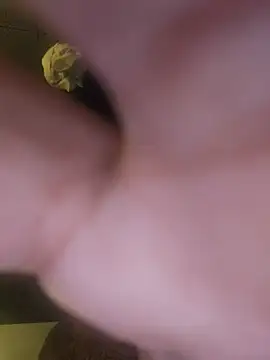 הופעת וובקאם של fordomatic2k