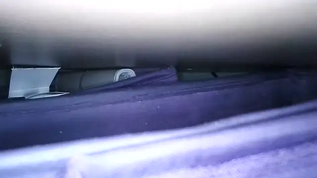 ralf6644 现场XXX聊天