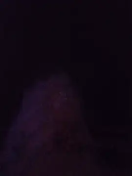 Sully_Kane élő XXX-chatje