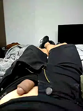 Show de webcam de leviarantes
