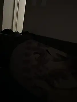 JayteePTA012's Live XXX Chat