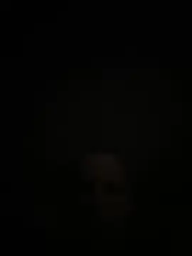 عرض كام Frankgermanman
