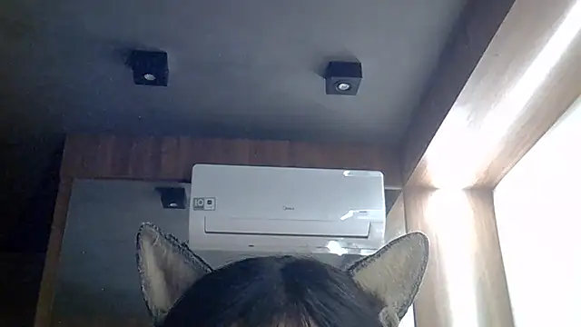 Chat +18 de SkinnyKitten ao vivo