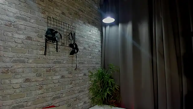 ari_sollis Live XXX-chat