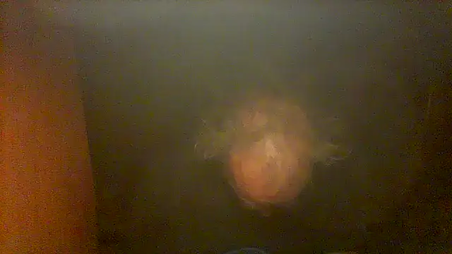 nice6incsn Webbikameraesitys