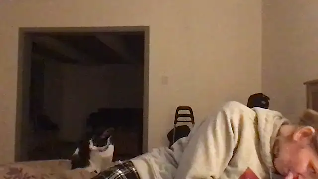 Kittymarlene 라이브 XXX 채팅