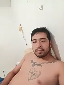 MitchellGordillon Webbikameraesitys