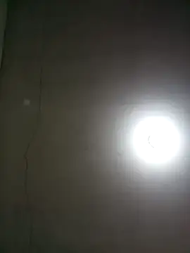 wbrankinha's Live XXX Chat