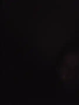 عرض كام SingingTrunks