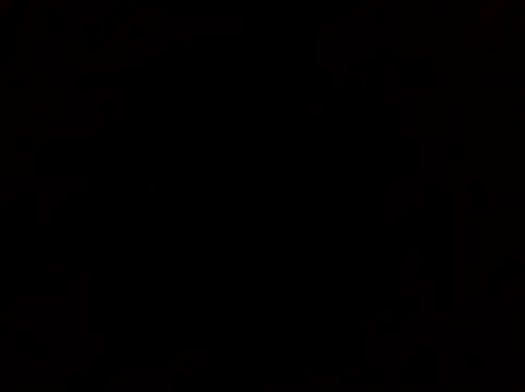 Zasakakan Webbikameraesitys