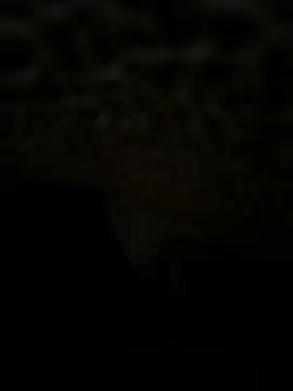TeluguBoy4Hyd's Webcam Show