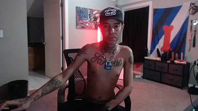 Michigan9000 Chat XXX in diretta