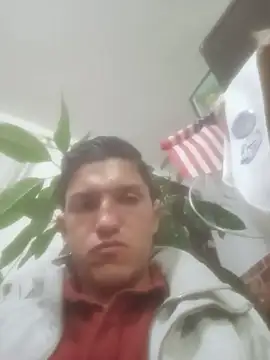 pelukeitor Live XXX-chat