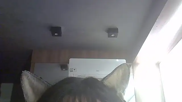 Chat XXX Live SkinnyKitten