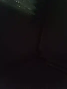 הופעת וובקאם של VirtuousDampness