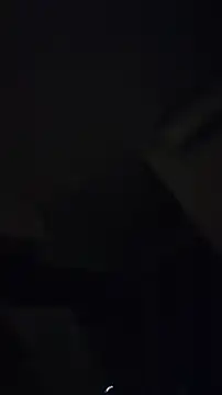 ZeldaSneakyLink Live XXX-Chat