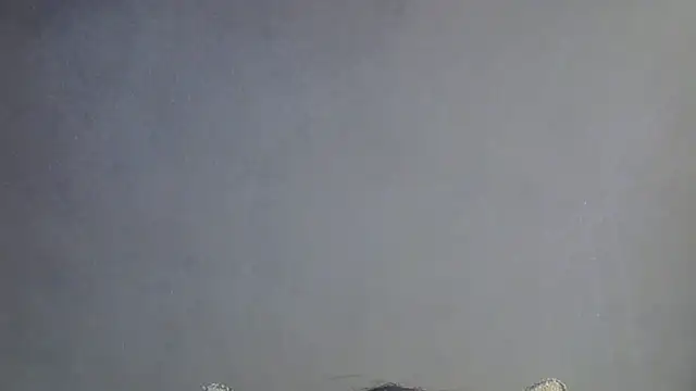 Živý XXX chat SkinnyKitten