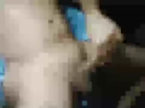 Show webcam de Chavivito