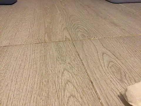 ofyaha23n Webbikameraesitys