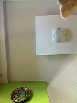 Webkamerová show Dejanaceking