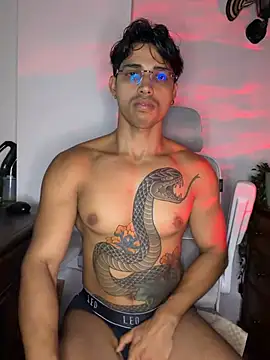 Show de David_Tresh5 na webcam