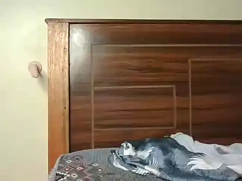 sexycutiey Obrolan Langsung XXX