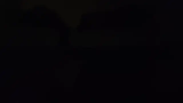 הופעת וובקאם של ZeldaSneakyLink