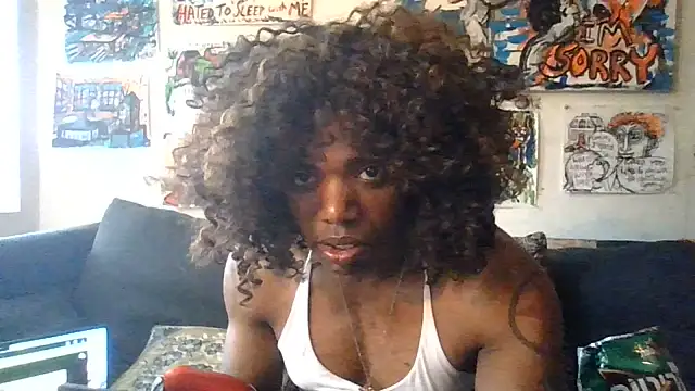 frenchiego Show Webcam