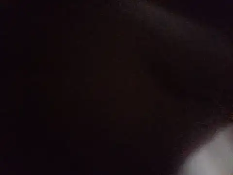Saintbull68n Webbikameraesitys