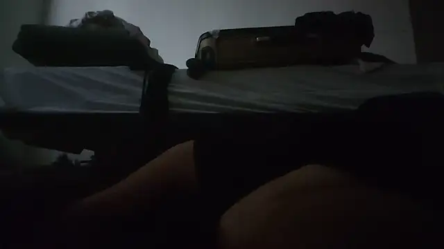 ZeldaSneakyLink Show in webcam