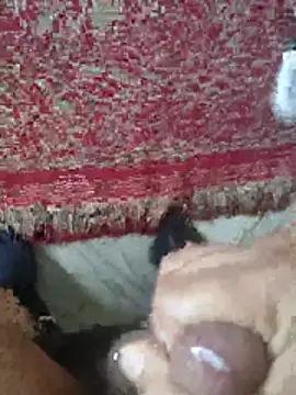 عرض كام wajdi-wa7ch