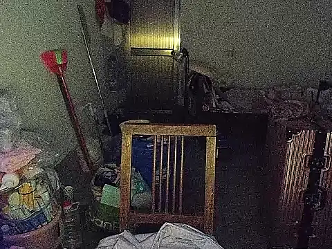 RebelAura Pertunjukan Webcam