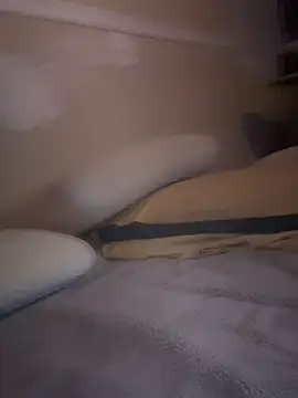 Busdownsamuelsn Webbikameraesitys