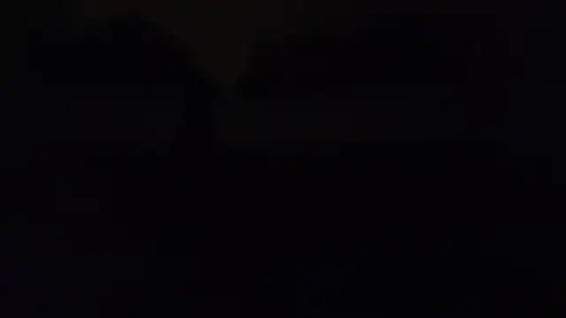 ZeldaSneakyLink Show in webcam
