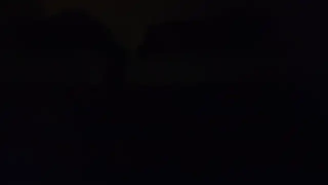 ZeldaSneakyLink Show in webcam