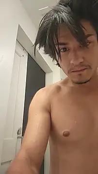 ZeldaSneakyLink's Webcam Show