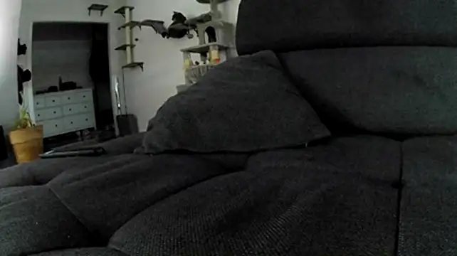 Show de webcam de mr_02_93
