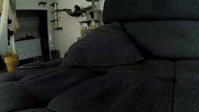 mr_02_93 webcam show