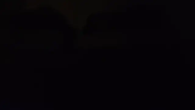 ZeldaSneakyLink Show in webcam