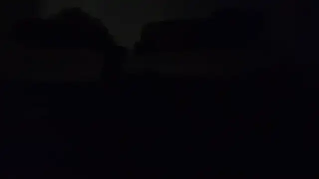 ZeldaSneakyLink Live XXX-chat