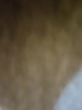 Desi_wali_bhabhi's Webcam Show