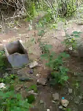 Show Webcam de priyabhabhi_99