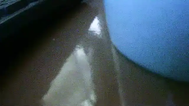 flayeyenaのウェブカメラショー