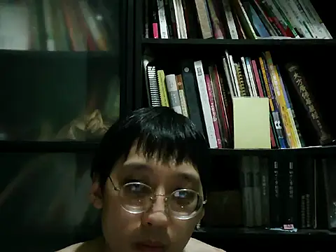 Lv8763 Show Webcam
