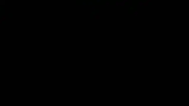 Show webcam de flayeyena