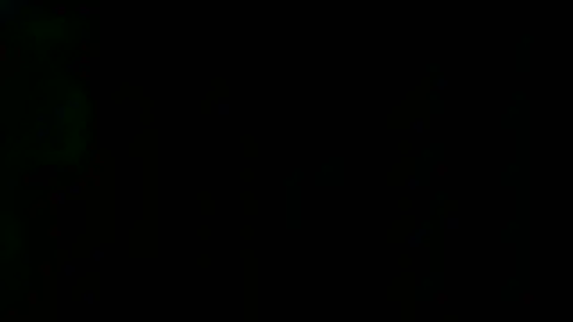 Show de webcam de StereoSock