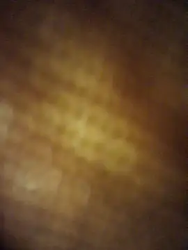 INtROvErT1122n Live XXX chat
