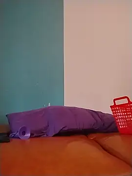 ReallyReallyReal's Webcam Show